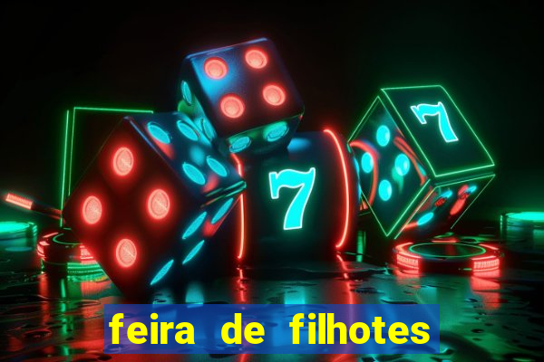 feira de filhotes porto alegre